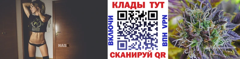 Псилоцибиновые грибы Ленинградская