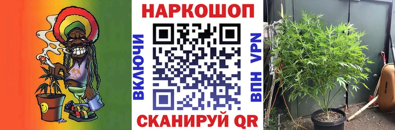 Виды наркотиков купить Ленинградская ГАШ  Героин  Меф мяу мяу  COCAIN 