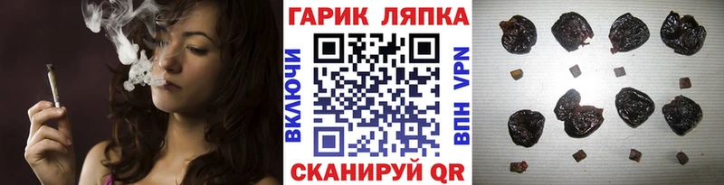 mega   хочу   Ленинградская  ГАШИШ Изолятор 
