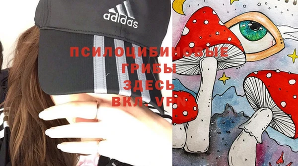шишки Лиски