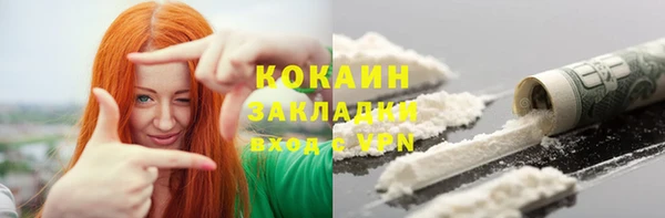 шишки Лиски