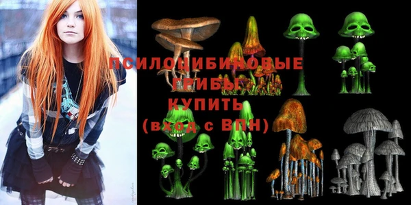 Альфа ПВП Липки