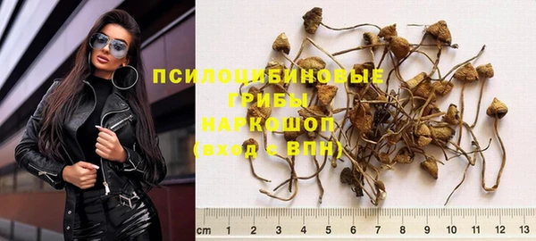 дживик Киренск