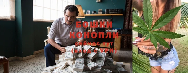 шишки Лиски