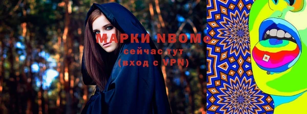 прущие грибы Бронницы