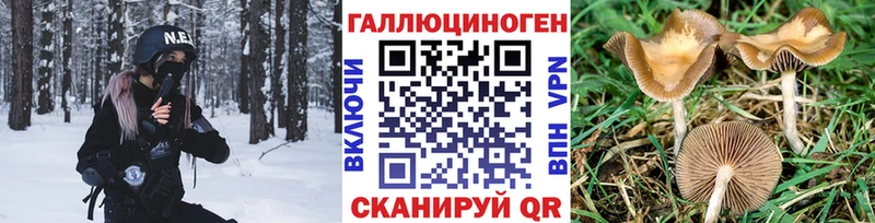Галлюциногенные грибы мицелий  Ленинградская 